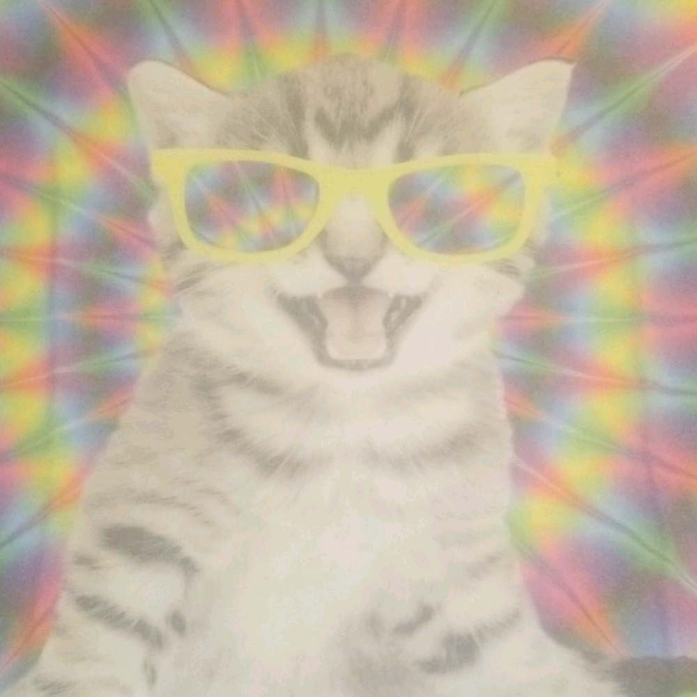 Rad Kitty Tshirt 2XL